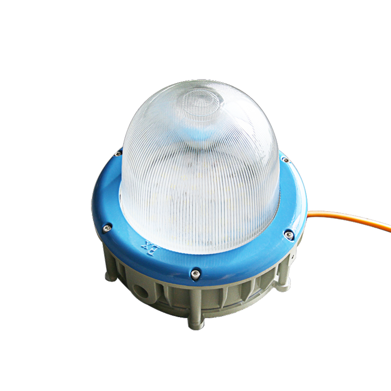 Raxwell 防爆灯，可定制颜色，平台式，100W，吊杆式，RLBP1033，1个