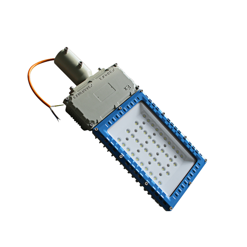 Raxwell 防爆灯，可定制颜色，泛光灯，80W，路灯式，RLBF2011，1个