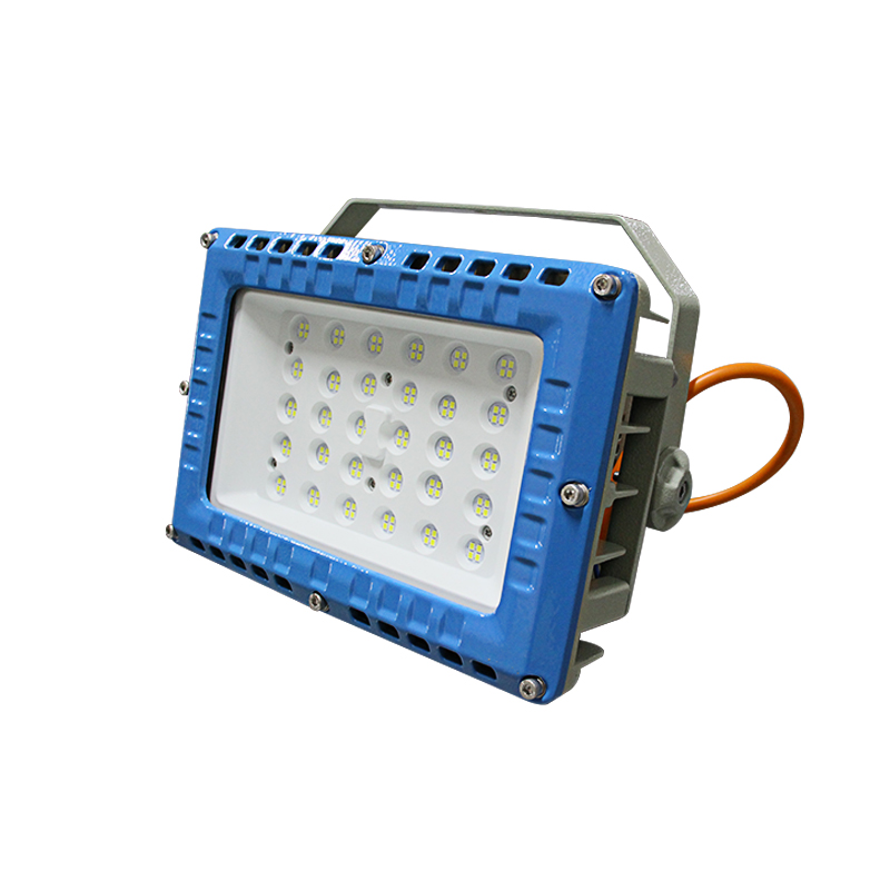 Raxwell 防爆灯，可定制颜色，泛光灯，100W，支架式，RLBF2022，1个