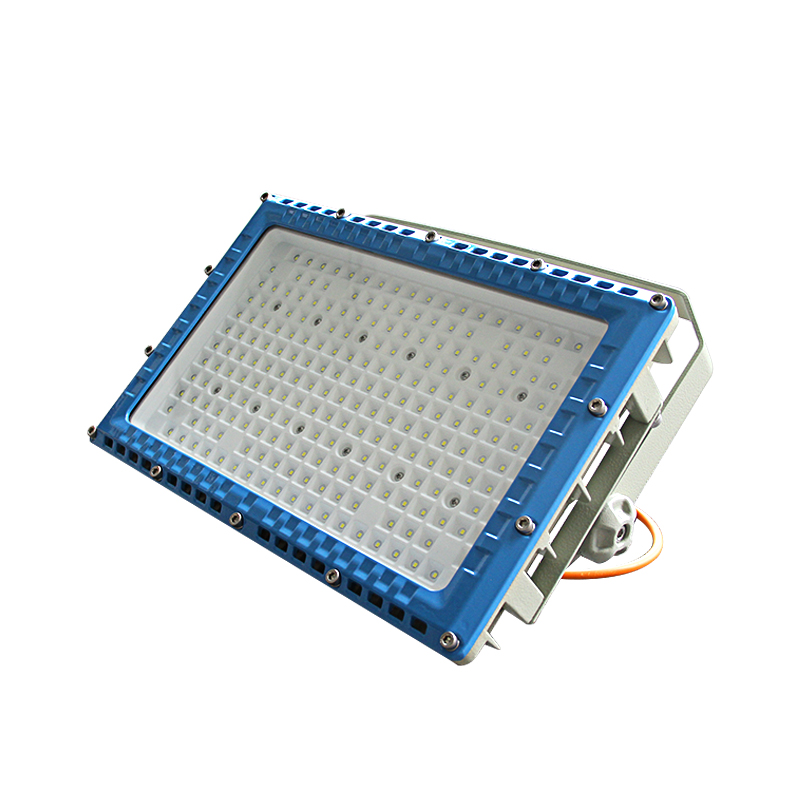 Raxwell 防爆灯，可定制颜色，泛光灯，200W，支架式，RLBF2042，1个