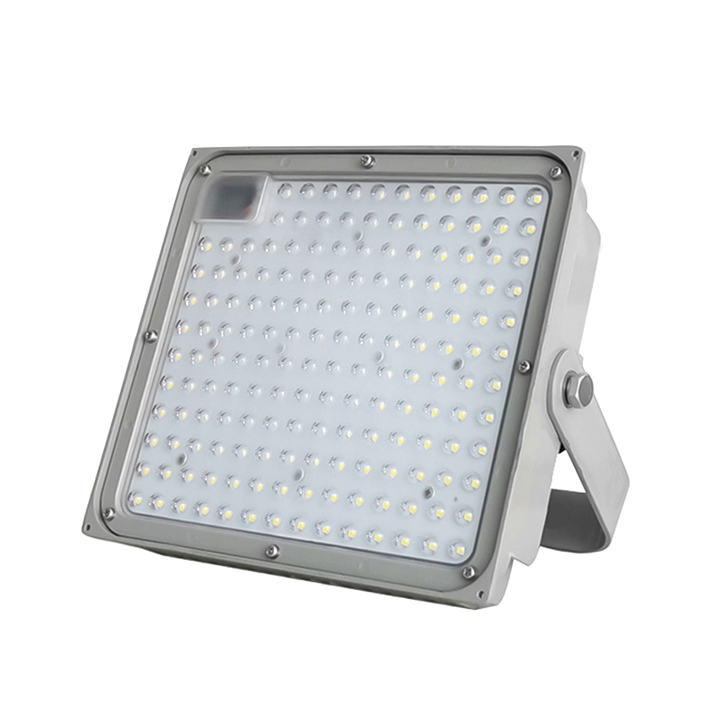 Raxwell 智能投光灯，100W，60°，5700K，Ra＞80，RLIC1003， 1只/箱